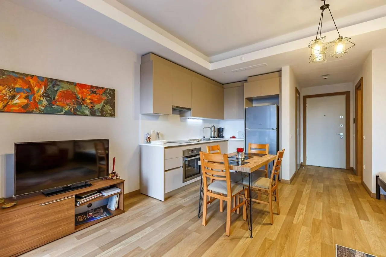 Modern Studio Flat With City View In Sariyer Apartment Istanbul Turkey